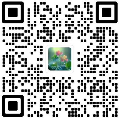 Journal of Mountain Science杂志模板